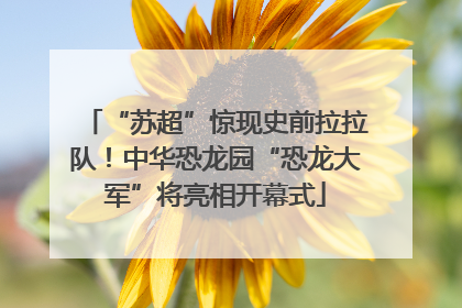 “苏超”惊现史前拉拉队！中华恐龙园“恐龙大军”将亮相开幕式