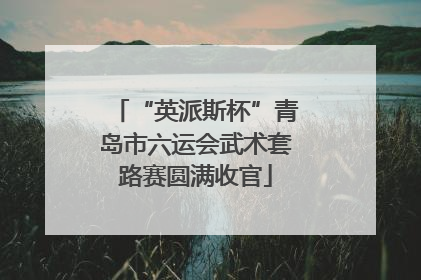 “英派斯杯”青岛市六运会武术套路赛圆满收官