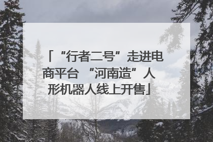 “行者二号”走进电商平台 “河南造”人形机器人线上开售