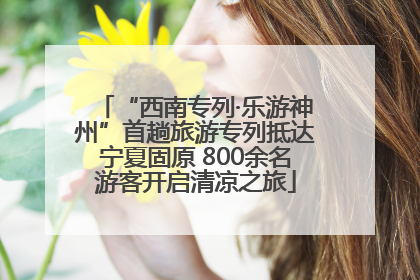 “西南专列·乐游神州”首趟旅游专列抵达宁夏固原 800余名游客开启清凉之旅