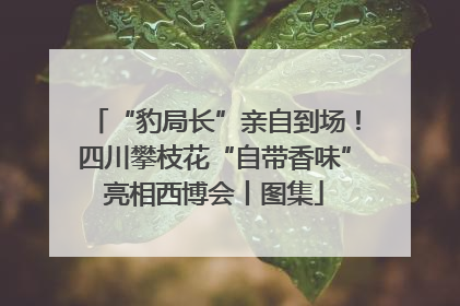“豹局长”亲自到场！四川攀枝花“自带香味”亮相西博会丨图集