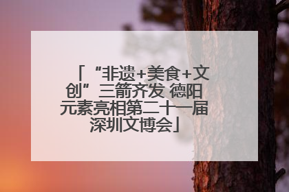 “非遗+美食+文创”三箭齐发 德阳元素亮相第二十一届深圳文博会