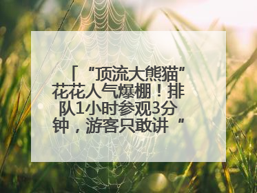 “顶流大熊猫”花花人气爆棚！排队1小时参观3分钟，游客只敢讲“悄悄话”