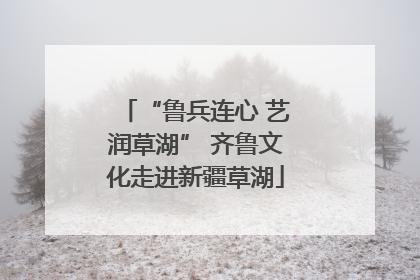 “鲁兵连心 艺润草湖” 齐鲁文化走进新疆草湖