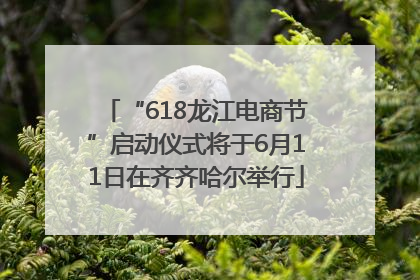 “618龙江电商节”启动仪式将于6月11日在齐齐哈尔举行