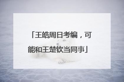 王皓周日考编，可能和王楚钦当同事