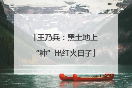 王乃兵：黑土地上“种”出红火日子