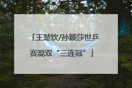 王楚钦/孙颖莎世乒赛混双“三连冠”