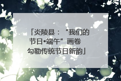 炎陵县：“我们的节日•端午”画卷 勾勒传统节日新韵