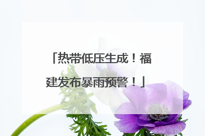 热带低压生成！福建发布暴雨预警！