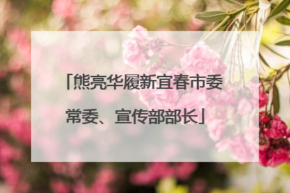 熊亮华履新宜春市委常委、宣传部部长