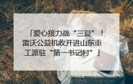 爱心接力战“三夏”！雷沃公益机收开进山东重工派驻“第一书记村”