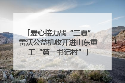 爱心接力战“三夏” 雷沃公益机收开进山东重工“第一书记村”