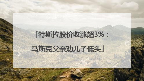 特斯拉股价收涨超3%：马斯克父亲劝儿子低头