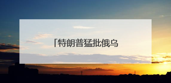 特朗普猛批俄乌两国总统 美媒：迄今最严厉批评