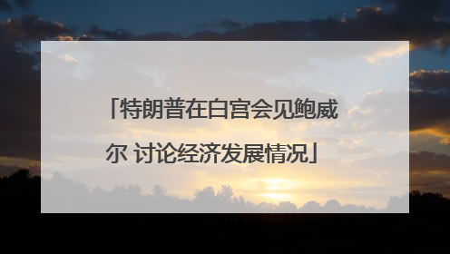 特朗普在白宫会见鲍威尔 讨论经济发展情况