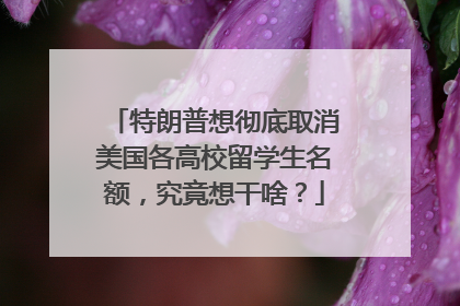 特朗普想彻底取消美国各高校留学生名额，究竟想干啥？
