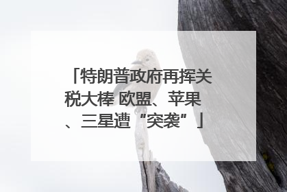 特朗普政府再挥关税大棒 欧盟、苹果、三星遭“突袭”