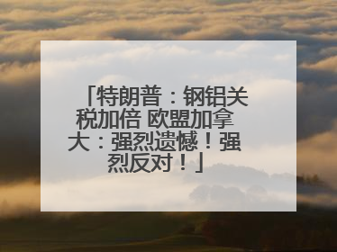 特朗普：钢铝关税加倍 欧盟加拿大：强烈遗憾！强烈反对！
