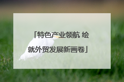 特色产业领航 绘就外贸发展新画卷