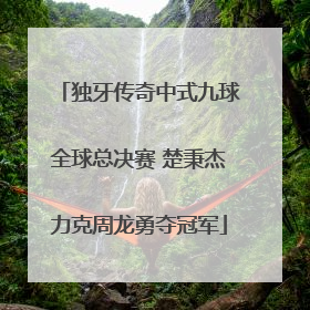 独牙传奇中式九球全球总决赛 楚秉杰力克周龙勇夺冠军