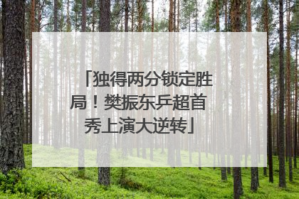 独得两分锁定胜局！樊振东乒超首秀上演大逆转