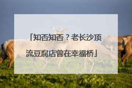知否知否？老长沙顶流豆腐店曾在幸福桥