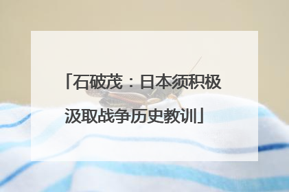 石破茂：日本须积极汲取战争历史教训