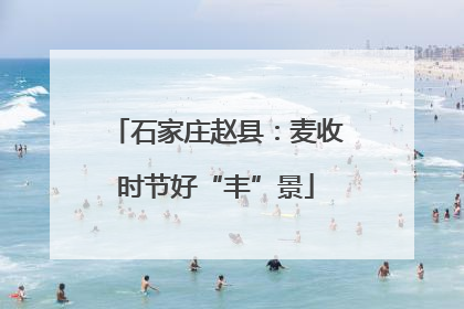 石家庄赵县：麦收时节好“丰”景