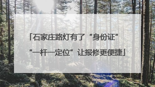 石家庄路灯有了“身份证” “一杆一定位”让报修更便捷