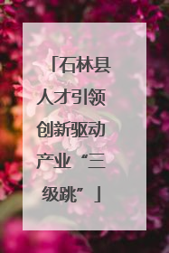 石林县人才引领创新驱动产业“三级跳”