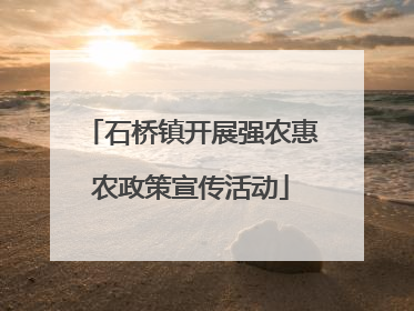 石桥镇开展强农惠农政策宣传活动