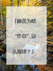 睡莲为啥“作息”这么规律？