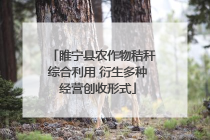 睢宁县农作物秸秆综合利用 衍生多种经营创收形式