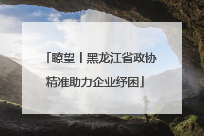瞭望丨黑龙江省政协精准助力企业纾困