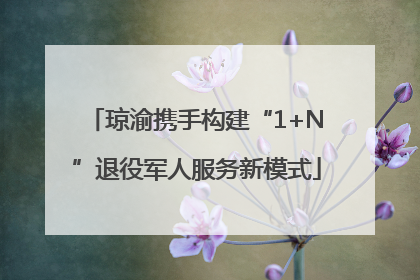 琼渝携手构建“1+N”退役军人服务新模式
