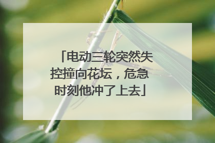 电动三轮突然失控撞向花坛，危急时刻他冲了上去