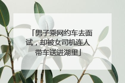 男子乘网约车去面试，却被女司机连人带车送进湖里