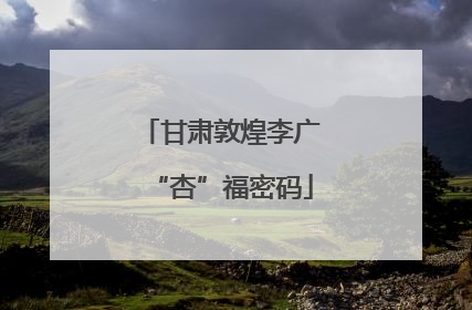 甘肃敦煌李广“杏”福密码