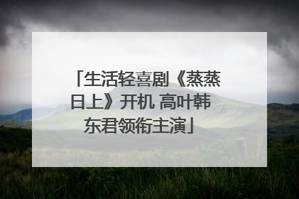 生活轻喜剧《蒸蒸日上》开机 高叶韩东君领衔主演