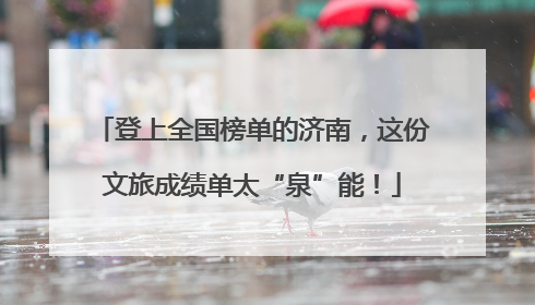 登上全国榜单的济南，这份文旅成绩单太“泉”能！