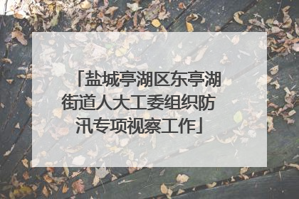 盐城亭湖区东亭湖街道人大工委组织防汛专项视察工作