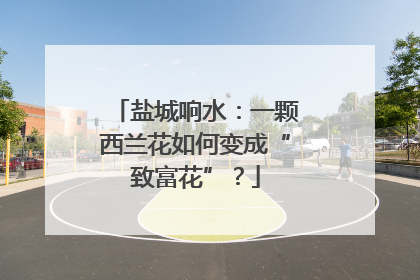 盐城响水：一颗西兰花如何变成“致富花”？