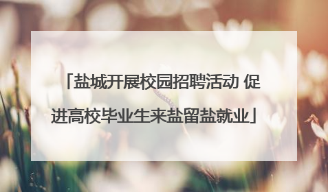 盐城开展校园招聘活动 促进高校毕业生来盐留盐就业