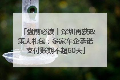 盘前必读丨深圳再获政策大礼包；多家车企承诺支付账期不超60天