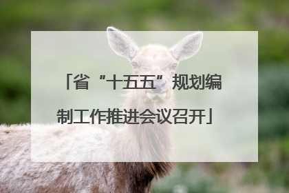 省“十五五”规划编制工作推进会议召开