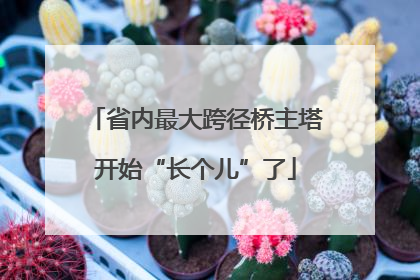 省内最大跨径桥主塔开始“长个儿”了