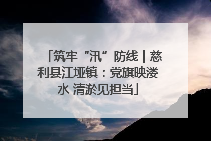 筑牢“汛”防线｜慈利县江垭镇：党旗映溇水 清淤见担当