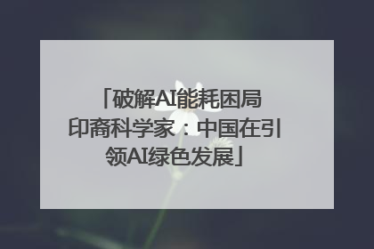破解AI能耗困局 印裔科学家：中国在引领AI绿色发展