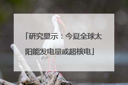 研究显示：今夏全球太阳能发电量或超核电